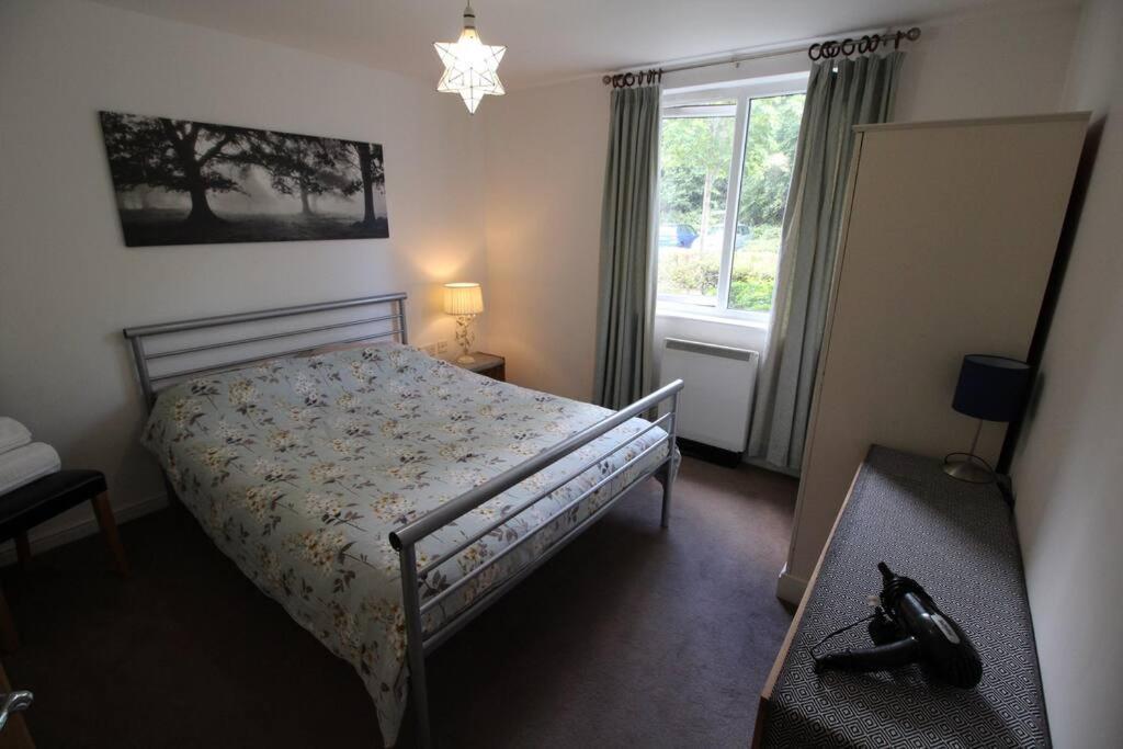 3 Bedroom Flat 10 Mins Walk To Bay And City Center Free Parking カーディフ エクステリア 写真